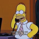 Homer Simpson : just called to say I don't love you