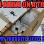 Cute Kittens | IM GOING ON A TRIP; IN MY FAVORITE LITTLE BOX | image tagged in cute kittens | made w/ Imgflip meme maker