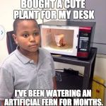 Instant Noodle/regret Kid | BOUGHT A CUTE PLANT FOR MY DESK; I'VE BEEN WATERING AN ARTIFICIAL FERN FOR MONTHS. | image tagged in instant noodle/regret kid | made w/ Imgflip meme maker