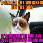 Introspective Grumpy Cat | I'D SMACK THE WHISKERS OFF THE DOG; IF I THOUGHT HE HAD ANY CLUE WHAT WAS GOING ON | image tagged in introspective grumpy cat | made w/ Imgflip meme maker