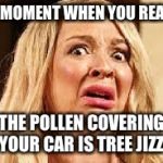 Shocked | THE MOMENT WHEN YOU REALIZE; THE POLLEN COVERING YOUR CAR IS TREE JIZZ | image tagged in shocked,nsfw | made w/ Imgflip meme maker