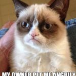 Angry feelings from feline. | MY OWNER PET ME ANGRILY | image tagged in angry cat,memes,funny | made w/ Imgflip meme maker