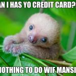 baby sloth | CAN I HAS YO CREDIT CARD??? NOTHING TO DO WIF MANSION | image tagged in baby sloth | made w/ Imgflip meme maker