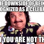 Ron Jeremy | THE DOWNSIDE OF BEING RECOGNIZED AS A CELEBRITY; AND YOU ARE NOT THEM | image tagged in ron jeremy | made w/ Imgflip meme maker