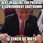 You can't make this shit up. | THE NEXT DEADLINE FOR PREVENTING A GOVERNMENT SHUTDOWN; IS CINCO DE MAYO | image tagged in trump taco bowl,memes | made w/ Imgflip meme maker