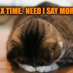 Should Send The Government My Kitty Litter Instead Because That's All The Bastards Are Worth To Me. | TAX TIME.  NEED I SAY MORE? | image tagged in kittycat facepalm | made w/ Imgflip meme maker