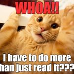 surprised kitty | WHOA!! I have to do more than just read it???? | image tagged in surprised kitty | made w/ Imgflip meme maker