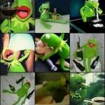 "KERMIT, MARIJUANA IS SAFER THAN BEING A DOUCHE ON ALCOHOL" meme