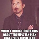 robert downey jr | THE LOOK YOU GET ... WHEN A LIBERAL COMPLAINS ABOUT TRUMP'S TAX PLAN THAT S/HE'S NEVER READ. | image tagged in robert downey jr | made w/ Imgflip meme maker