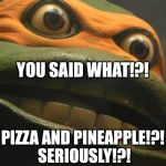 Battlefield turtle | YOU SAID WHAT!?! PIZZA AND PINEAPPLE!?! SERIOUSLY!?! | image tagged in teenage mutant ninja turtles | made w/ Imgflip meme maker