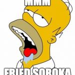 Homer Mmmmm | MMM; FRIED SOROKA | image tagged in homer mmmmm | made w/ Imgflip meme maker