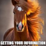 Horse | PRIMARY SOURCES! GETTING YOUR INFORMATION STRAIGHT FROM THE HORSE'S MOUTH!! | image tagged in horse | made w/ Imgflip meme maker