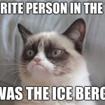 The thoughts of grumpy cat
 | MY FAVORITE PERSON IN THE TITANIC; WAS THE ICE BERG | image tagged in grumpycat | made w/ Imgflip meme maker