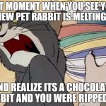 Tom That moment when | THAT MOMENT WHEN YOU SEE YOUR NEW PET RABBIT IS MELTING... AND REALIZE ITS A CHOCOLATE RABBIT AND YOU WERE RIPPED OFF | image tagged in tom that moment when | made w/ Imgflip meme maker