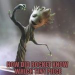 Groot | SO, GROOT EXPLODED AT THE END OF GUARDIANS OF THE GALAXY; HOW DID ROCKET KNOW WHICH TINY PIECE TO GET TO GROW THE NEW GROOT? OR ARE THERE NOW MULTIPLE GROOTS? | image tagged in groot | made w/ Imgflip meme maker