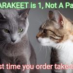 You Didn't Share ?!?! | PARAKEET is 1, Not A Pair! Last time you order take-out! | image tagged in you didn't share | made w/ Imgflip meme maker