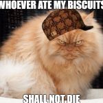 Angry Cat | WHOEVER ATE MY BISCUITS; SHALL NOT DIE | image tagged in angry cat,scumbag | made w/ Imgflip meme maker