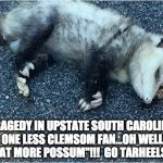 Possum | TRAGEDY IN UPSTATE SOUTH CAROLINA ONE LESS CLEMSOM FAN...OH WELL  "EAT MORE POSSUM"!!! 
GO TARHEELS!!! | image tagged in possum | made w/ Imgflip meme maker