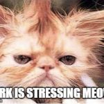 Stressed Cat | WORK IS STRESSING MEOWT! | image tagged in stressed cat | made w/ Imgflip meme maker