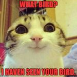 happy kitty | WHAT BIRD? I HAVEN SEEN YOUR BIRD. | image tagged in happy kitty | made w/ Imgflip meme maker