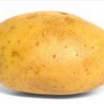 Potato