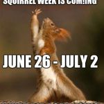 Squirrel week is coming gents! June 26 - July 2 a robroman event! | SQUIRREL WEEK IS COM!ING; JUNE 26 - JULY 2; WHAT DID I SAY NOW? | image tagged in squirrel,squirrel week,a robroman event,protect your nut storage | made w/ Imgflip meme maker