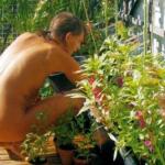 Naked Gardener