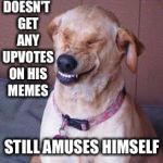 funny dog | DOESN'T GET ANY UPVOTES ON HIS MEMES; STILL AMUSES HIMSELF | image tagged in funny dog | made w/ Imgflip meme maker