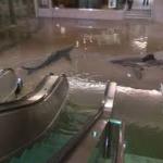 Flooded Mall