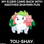 Touché. - Pokemon Week an AsrielDreemerr event | MY ELDER CAME BACK WITH ANOTHER SHAYMIN PUN. TOU-SHAY. | image tagged in winking shaymin,bad pun,funny,memes,pokemon week | made w/ Imgflip meme maker
