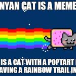 Nyan Cat Meme Generator - Imgflip