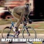 Monkey birthday bike  | HAPPY BIRTHDAY GEORGE! | image tagged in monkey birthday bike | made w/ Imgflip meme maker