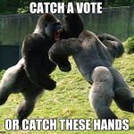 GorillaFight | CATCH A VOTE; OR CATCH THESE HANDS | image tagged in gorillafight | made w/ Imgflip meme maker