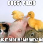 Get Off Me It's Heavy!!! | DOGGY PILE!!! WAIT IS IT BEDTIME ALREADY? NOOOO! | image tagged in baby animals | made w/ Imgflip meme maker