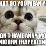 starbuckscat | WHAT DO YOU MEAN YOU; DON'T HAVE ANNY MOR UNICORN FRAPPACINOS | image tagged in starbuckscat | made w/ Imgflip meme maker