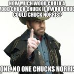 Chuck Kick Ass Norris | HOW MUCH WOOD COULD A WOOD CHUCK CHUCK IF A WOODCHUCK COULD CHUCK NORRIS? NONE. NO ONE CHUCKS NORRIS. | image tagged in chuck kick ass norris,chuck norris week,memes | made w/ Imgflip meme maker