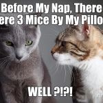 You Didn't Share ?!?! | Before My Nap, There Were 3 Mice By My Pillow ! WELL ?!?! | image tagged in you didn't share | made w/ Imgflip meme maker