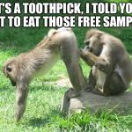 monkeyass | IT'S A TOOTHPICK, I TOLD YOU NOT TO EAT THOSE FREE SAMPLES | image tagged in monkeyass | made w/ Imgflip meme maker