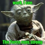 Yoda | Much good work, I see. The Force runs strong in this student. | image tagged in yoda | made w/ Imgflip meme maker