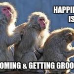 grooming monkeys | HAPPINESS IS; GROOMING & GETTING GROOMED | image tagged in grooming monkeys | made w/ Imgflip meme maker