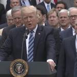 Pussy Grabbers Club