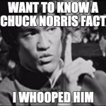 Bruce Lee week by Ball_islfe | WANT TO KNOW A CHUCK NORRIS FACT; I WHOOPED HIM | image tagged in one bruce lee | made w/ Imgflip meme maker