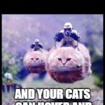 Flying Cat Stormtrooper Meme Generator Imgflip