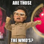 Team America Kim  | ARE THOSE; THE WMD'S? | image tagged in team america kim | made w/ Imgflip meme maker