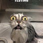 Traumatized Wet Cat | DURING GMAS TESTING; TEACHERS BE LIKE! | image tagged in traumatized wet cat | made w/ Imgflip meme maker