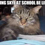 Skye | SEEING SKYE AT SCHOOL BE LIKE... | image tagged in skye | made w/ Imgflip meme maker