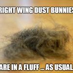 Snowflakes, meet Dust Bunnies. | RIGHT WING DUST BUNNIES; ARE IN A FLUFF ... AS USUAL. | image tagged in dust bunny,snowflakes,republicans,trumpster,reality check,you're welcome | made w/ Imgflip meme maker