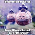 star wars cats | My the Forth be with you; Damn! I thought he said; "I got a fifth for you!" | image tagged in star wars cats | made w/ Imgflip meme maker
