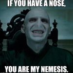 voldemort smiling | IF YOU HAVE A NOSE, YOU ARE MY NEMESIS. | image tagged in voldemort smiling | made w/ Imgflip meme maker