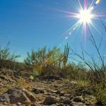Tucson Arizona scorching heat